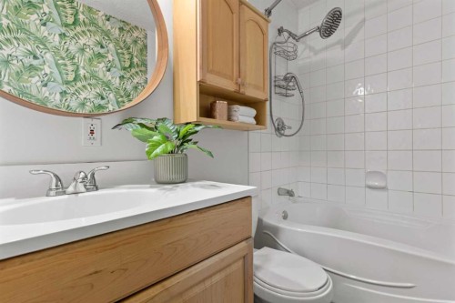 132 Whitehill Place Ne, Calgary, AB - Indoor Photo Showing Bathroom