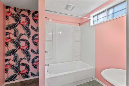 132 Whitehill Place Ne, Calgary, AB - Indoor Photo Showing Bathroom