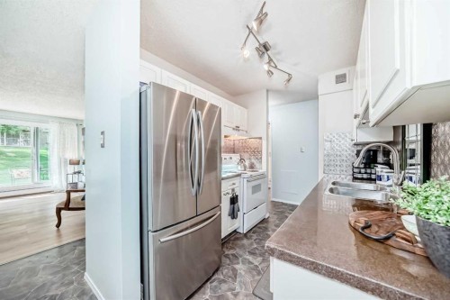 191-8948 Elbow Drive Sw, Calgary, AB - Indoor Photo Showing Kitchen