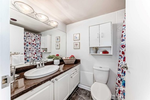 191-8948 Elbow Drive Sw, Calgary, AB - Indoor Photo Showing Bathroom