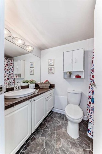 191-8948 Elbow Drive Sw, Calgary, AB - Indoor Photo Showing Bathroom