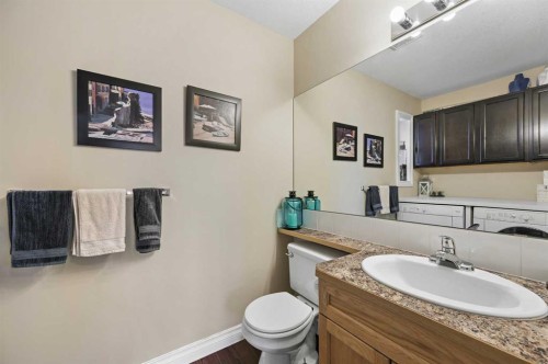 60 Canoe Cove Sw, Airdrie, AB - Indoor Photo Showing Bathroom