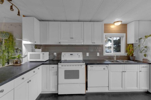 47 Huntstrom Drive Ne, Calgary, AB - Indoor Photo Showing Kitchen With Double Sink