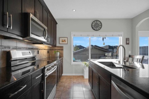 61 Cranford Place Se, Calgary, AB - Indoor Photo Showing Kitchen With Double Sink With Upgraded Kitchen
