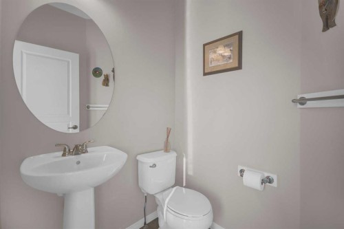 61 Cranford Place Se, Calgary, AB - Indoor Photo Showing Bathroom