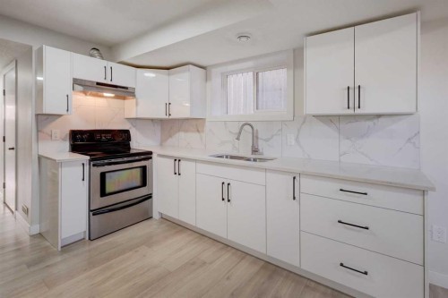 202 Falmere Way Ne, Calgary, AB - Indoor Photo Showing Kitchen With Double Sink