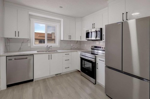 202 Falmere Way Ne, Calgary, AB - Indoor Photo Showing Kitchen With Stainless Steel Kitchen With Double Sink