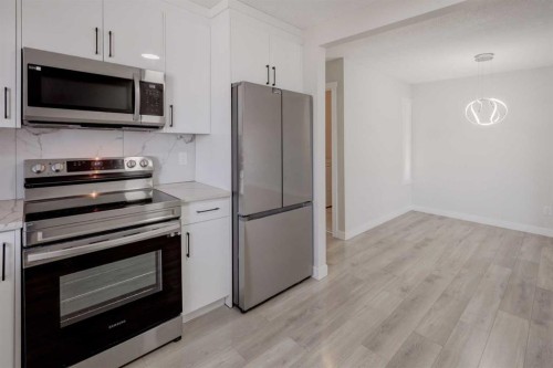202 Falmere Way Ne, Calgary, AB - Indoor Photo Showing Kitchen With Stainless Steel Kitchen