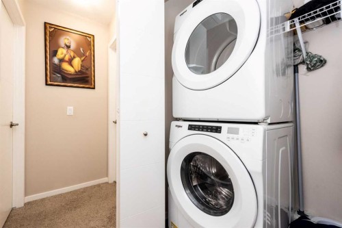 203-225 Redstone Walk Ne, Calgary, AB - Indoor Photo Showing Laundry Room