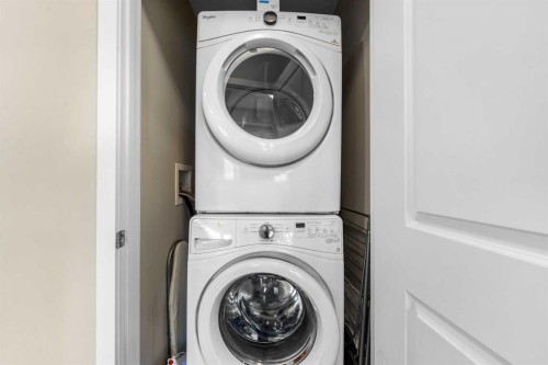 117-200 Cranfield Common Se, Calgary, AB - Indoor Photo Showing Laundry Room