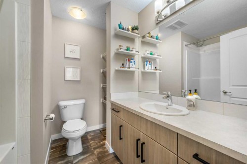 117-200 Cranfield Common Se, Calgary, AB - Indoor Photo Showing Bathroom
