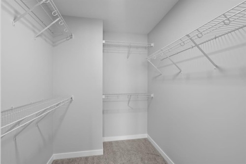 460 Lewiston Landing Ne, Calgary, AB - Indoor With Storage