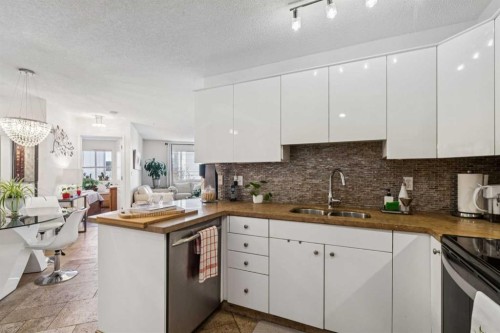204-30 Sierra Morena Mews Sw, Calgary, AB - Indoor Photo Showing Kitchen With Double Sink