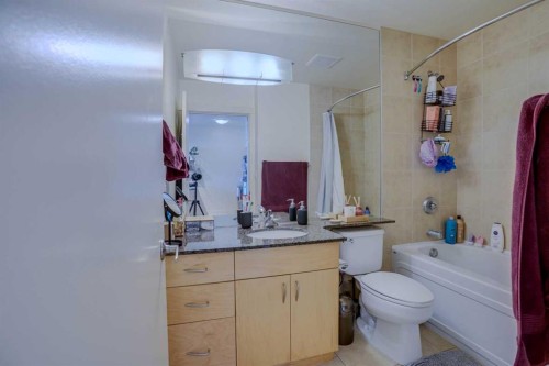 101-8710 Horton Road Sw, Calgary, AB - Indoor Photo Showing Bathroom