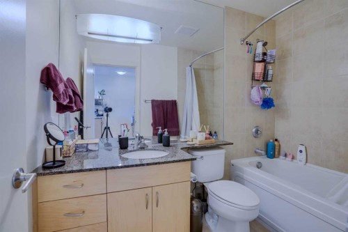 101-8710 Horton Road Sw, Calgary, AB - Indoor Photo Showing Bathroom