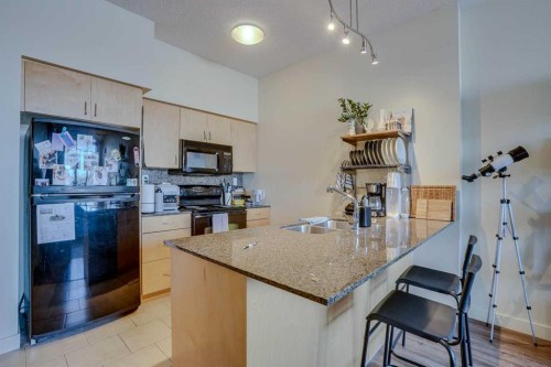 101-8710 Horton Road Sw, Calgary, AB - Indoor Photo Showing Kitchen With Double Sink