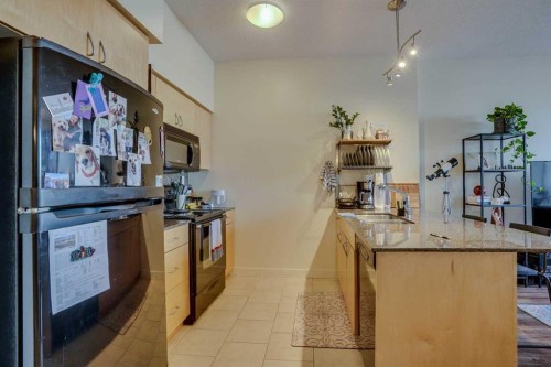 101-8710 Horton Road Sw, Calgary, AB - Indoor Photo Showing Kitchen With Double Sink