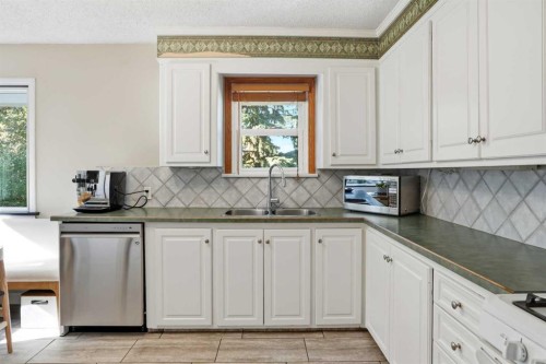 3003 25 Street Sw, Calgary, AB - Indoor Photo Showing Kitchen With Double Sink