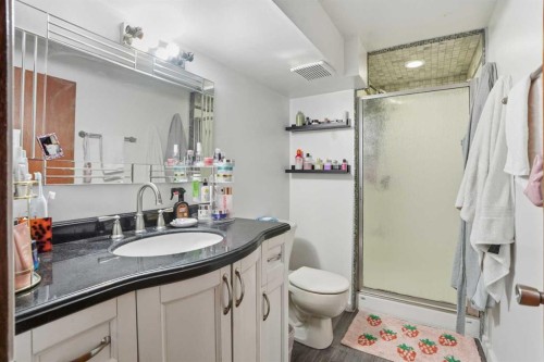 3003 25 Street Sw, Calgary, AB - Indoor Photo Showing Bathroom