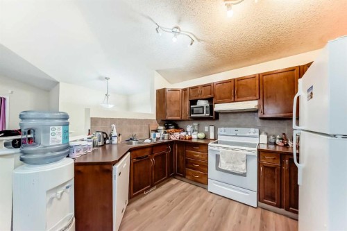 10 Saddlebrook Gardens Ne, Calgary, AB - Indoor Photo Showing Kitchen With Double Sink