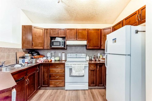 10 Saddlebrook Gardens Ne, Calgary, AB - Indoor Photo Showing Kitchen With Double Sink