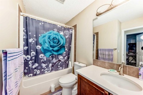 10 Saddlebrook Gardens Ne, Calgary, AB - Indoor Photo Showing Bathroom
