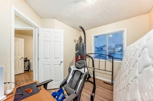 10 Saddlebrook Gardens Ne, Calgary, AB - Indoor