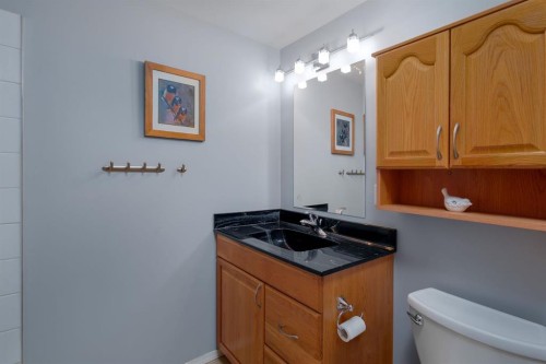 2026 41 Street Se, Calgary, AB - Indoor Photo Showing Bathroom