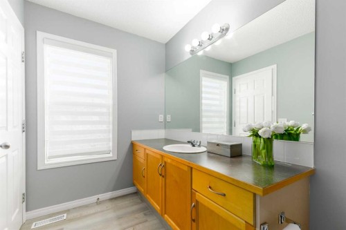 126 Everhollow Heights Sw, Calgary, AB - Indoor Photo Showing Bathroom