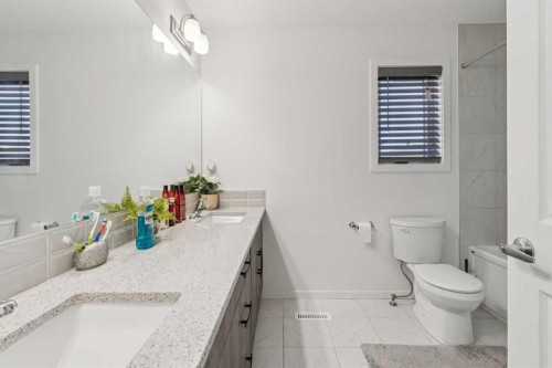 223 Carrington Circle Nw, Calgary, AB - Indoor Photo Showing Bathroom