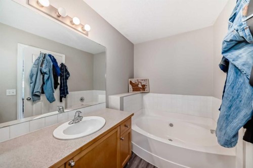 26 Copperfield View Se, Calgary, AB - Indoor Photo Showing Bathroom