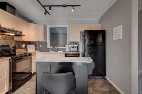 219 Copperfield Lane Se, Calgary, AB - Indoor Photo Showing Kitchen With Double Sink