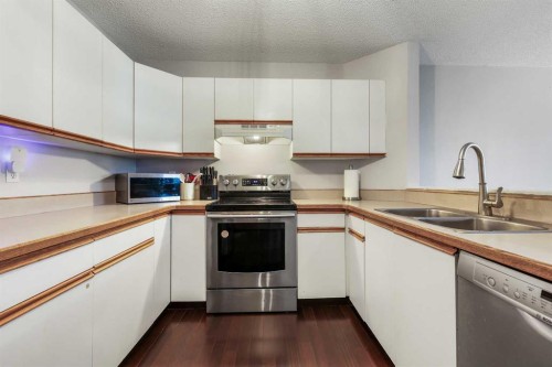 156 Martin Crossing Court Ne, Calgary, AB - Indoor Photo Showing Kitchen With Double Sink