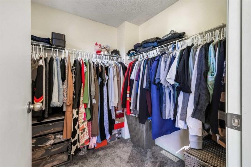 156 Martin Crossing Court Ne, Calgary, AB - Indoor With Storage