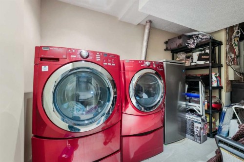 156 Martin Crossing Court Ne, Calgary, AB - Indoor Photo Showing Laundry Room