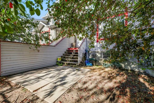 156 Martin Crossing Court Ne, Calgary, AB - Outdoor