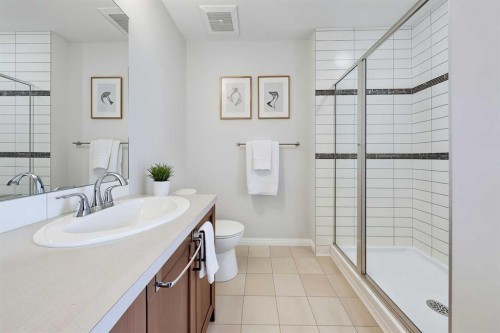 401-1086 Williamstown Boulevard Nw, Airdrie, AB - Indoor Photo Showing Bathroom