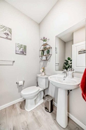 81 Savanna Link Ne, Calgary, AB - Indoor Photo Showing Bathroom