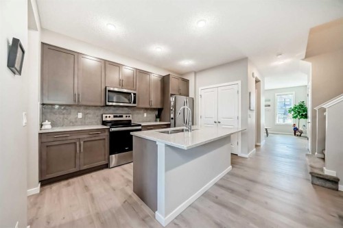 81 Savanna Link Ne, Calgary, AB - Indoor Photo Showing Kitchen With Double Sink With Upgraded Kitchen
