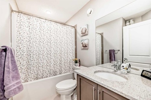81 Savanna Link Ne, Calgary, AB - Indoor Photo Showing Bathroom