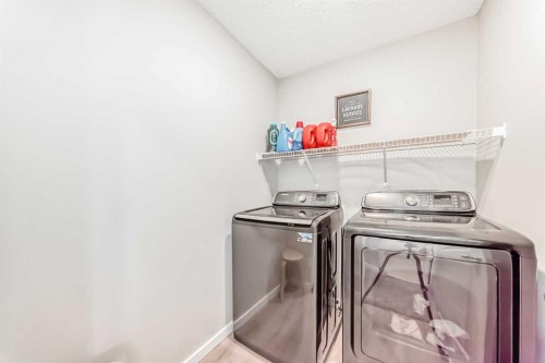81 Savanna Link Ne, Calgary, AB - Indoor Photo Showing Laundry Room