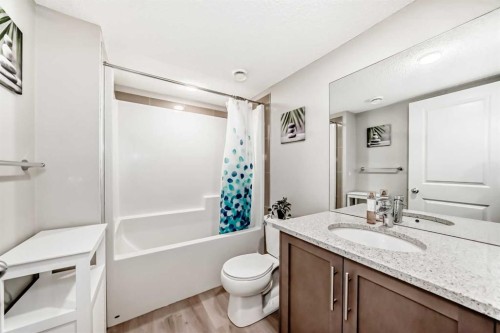 81 Savanna Link Ne, Calgary, AB - Indoor Photo Showing Bathroom