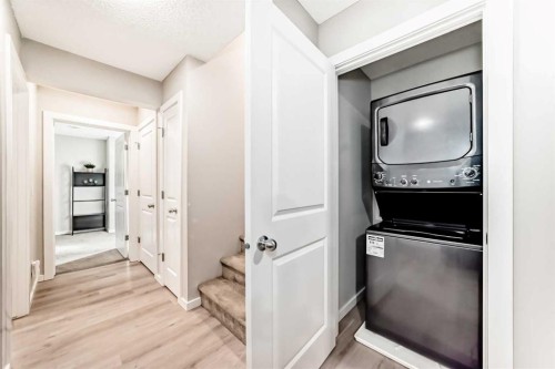 81 Savanna Link Ne, Calgary, AB - Indoor Photo Showing Laundry Room