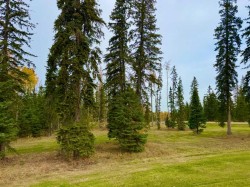 202 Meadow Ponds Drive  Rural Clearwater County, AB T4T 1A7