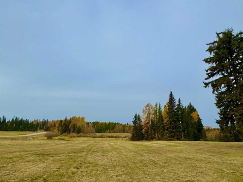 317 Valley View Drive, Rural Clearwater County, AB 