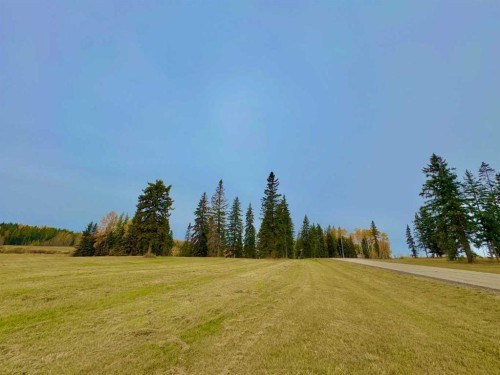 317 Valley View Drive, Rural Clearwater County, AB 