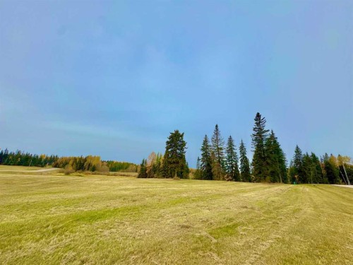 317 Valley View Drive, Rural Clearwater County, AB 