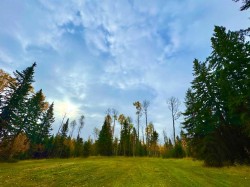 127 Meadow Ponds Drive  Rural Clearwater County, AB T4T 1A7