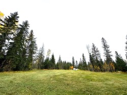 111 Meadow Ponds Drive  Rural Clearwater County, AB T4T 1A7