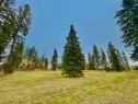 309 Valley View Drive, Rural Clearwater County, AB 